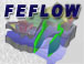 FEFLOW